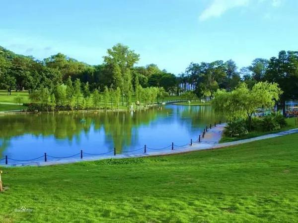 珠海五年来公园数量增近8倍 建成896公里城乡绿道网
