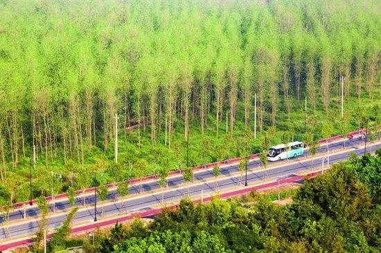 湖州德清交通大整治今天启动