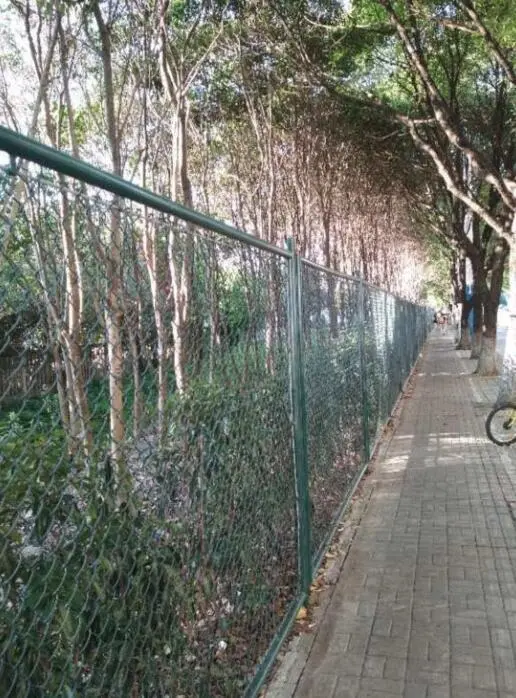 梅陇镇这块"三不管"垃圾焚烧场终于"变脸"了