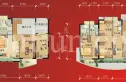 金基蓝钻户型图