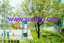 双兴名邸四季春天3室2厅东南