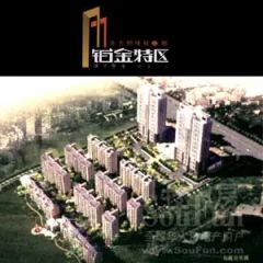 东方明珠城3室2厅南北