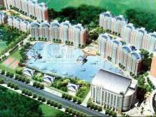 临湖,光线好,配套好,精装修电梯复式