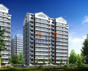 精装修拎包入住无大税看房子方便