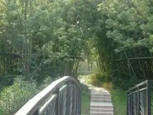 精装 产权清晰 新上房源