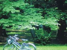 小龙坎 诺丁阳光一房38万