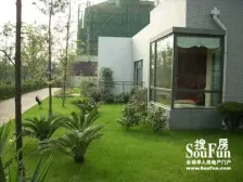 澳龙名城 1室1厅 东南