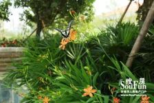 东骏湖景湾3室2厅东南西南