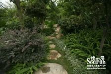 东骏湖景湾 3室2厅 西