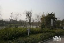 天府江南C区4室2厅东南