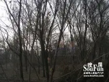 仁恒美林郡一室采光好产权可按揭出售