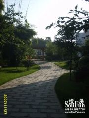 翠晨记3室2厅东南