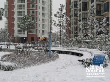 香江花城多层3楼,140平毛坯,三开间朝南,采光好