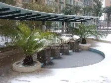 开放式厨房,大开间,品质小区,不靠近马路