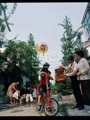 锦镇 5室3厅 南 北