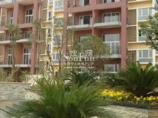 丽水房东诚心出售,电梯房,光线充足。视野开阔。