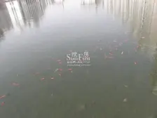 万达商圈欣月湖 精装修电梯复式楼 阳光房阁楼南北通透