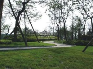 上优水岸4室2厅西