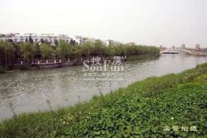 美茵河谷3室1厅南
