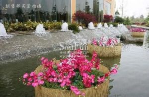 美茵河谷 3室1厅 东