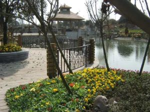 花样年花样城2室2厅西南