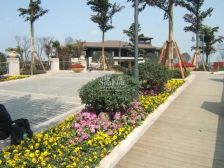 花样年花样城 2室2厅 南 北