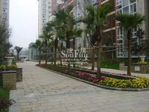 一里阳光3室1厅东北