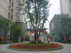 一里阳光3室1厅东南