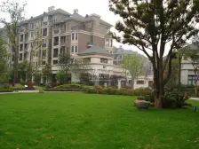 象湖柏树学校旁的放房子。看房子随时方便