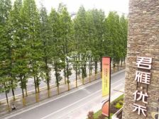 君雁优禾4室2厅东南