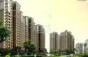 金鼎名城实景图