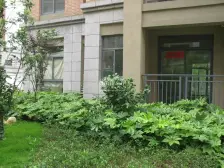 上下两层,户型端正,采光好,交通便利。