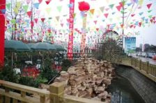 春江青龙湾 3室1厅 东南