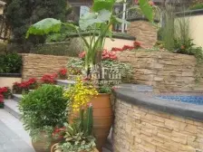 大竹林 龙湖江与城熙溪地二房100万