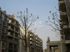 万达绿地双商圈+满五+婚房装修+阁楼露台