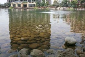 东骏湖景湾4室2厅东南