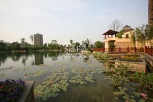 东骏湖景湾3室1厅东