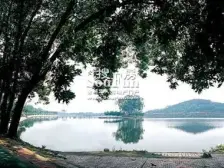 万科棠樾七期 合院别墅地势高 东南向带电梯 人车分流