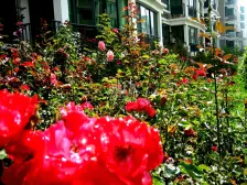 基业豪庭电梯三室 出售 小区环境好 设施齐全