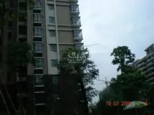 顶楼复式5房 实用面积230平 带80平私家露台