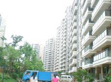 新世纪星城 二期 3房 诚意出售 户型方正