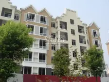 中兴和园二期 南北通透,采光好 视野好,诚心出售