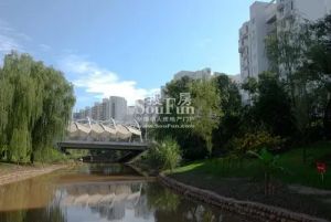 东山国际新城A区5室1厅东南