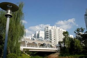 东山国际新城A区3室2厅东南