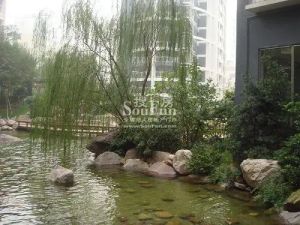 市府旁 六号线 河西繁华地段 低总价大三房 中间楼层