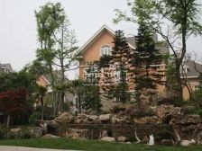 成都后花园一期 5室2厅 东南