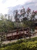 汇融悉尼湾库吉岛二期2室1厅南