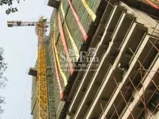 板式电梯房 两梯三户 落地窗 采光好