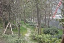 蓝光凯丽香江 3室2厅 北