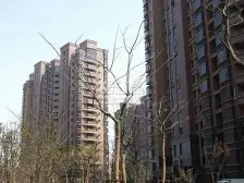 东上海顶楼复室,3层6个房间,小区仅4套房源!速看